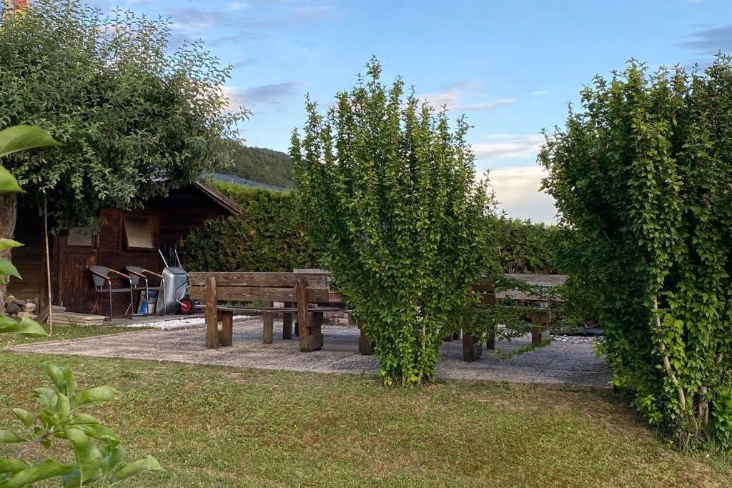 Die Seeblume - Ferienwohnung Mit Pool Und Seeblick Bodman-Ludwigshafen Esterno foto